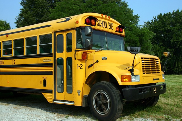 Školské autobusy